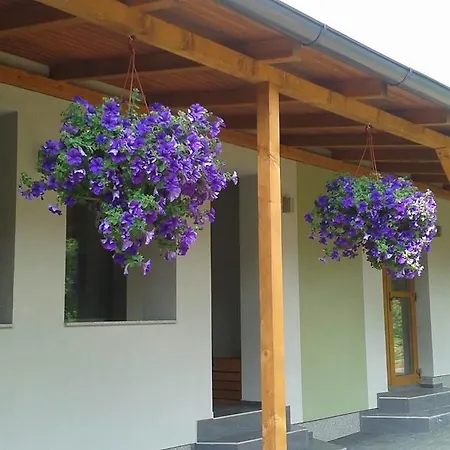 Apartment Sarika Dlha Ves