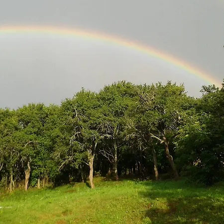 Apartmán Sarika Dlha Ves