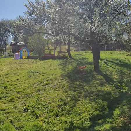 Apartment Sarika Dlha Ves